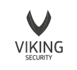 Viking Security